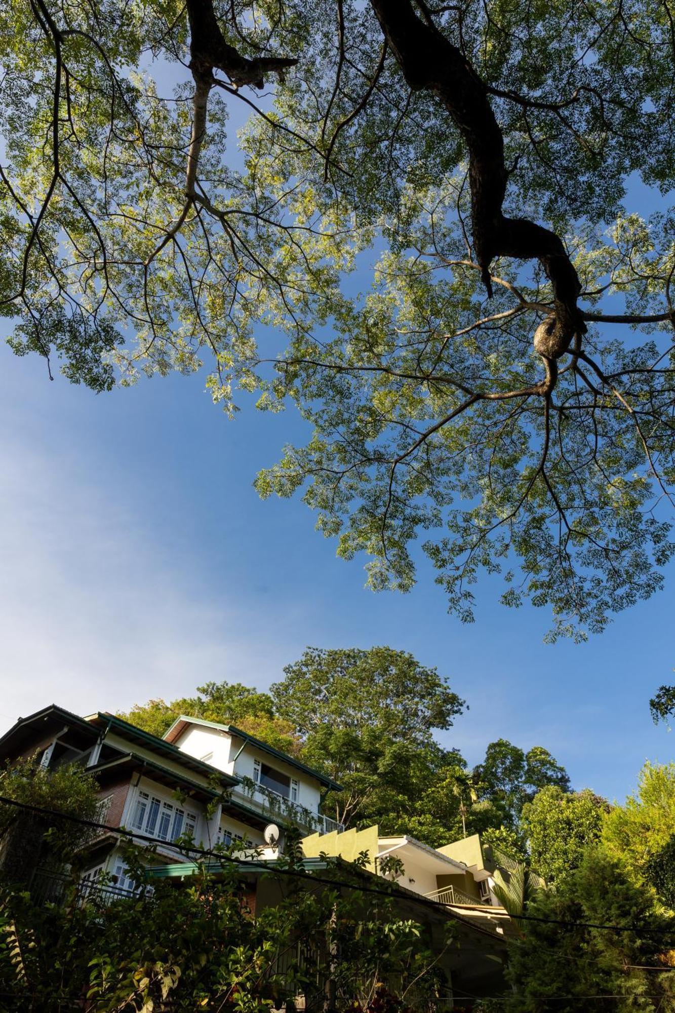 Greenwood Edge Kandy Ngoại thất bức ảnh